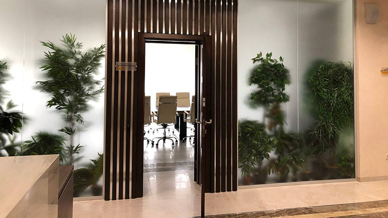 Стеклянные двери - проект 2